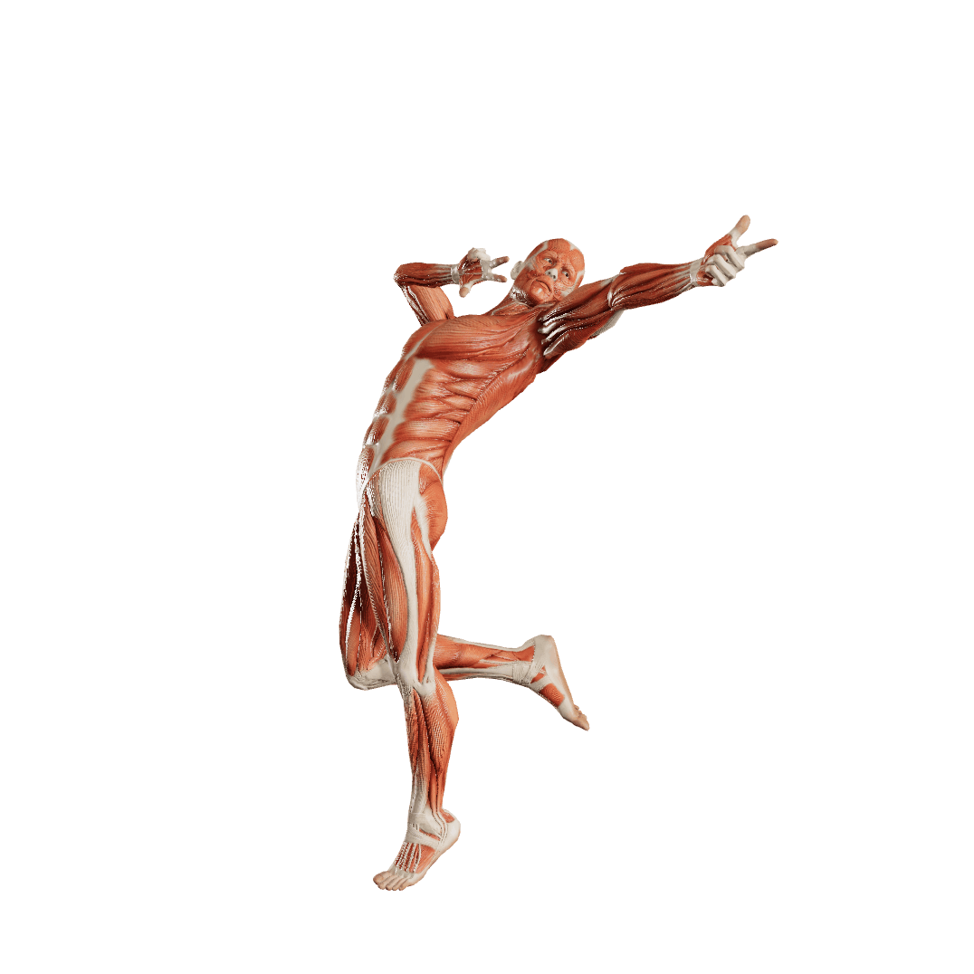 pointing-male-poses-posemaniacs-royalty-free-3d-pose-reference-for