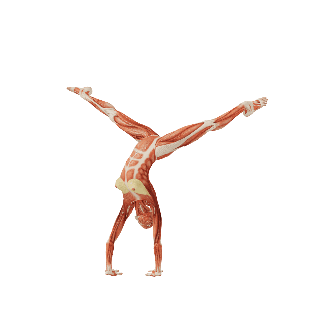 Hand standing Female poses | POSEMANIACS - Royalty free 3d pose ...