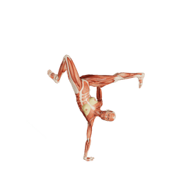 Hand standing Femenino poses | POSEMANIACS - Royalty free 3d pose ...