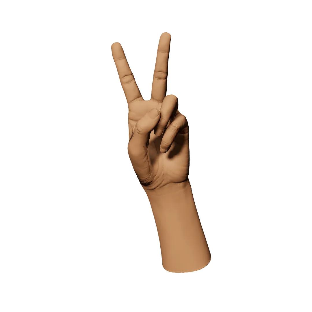 Hand Poses