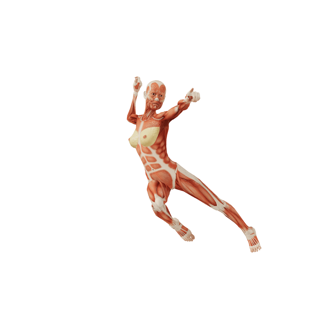 Pose 0000635, Female, Running, Pointing, Twisting body, Raising arm ...