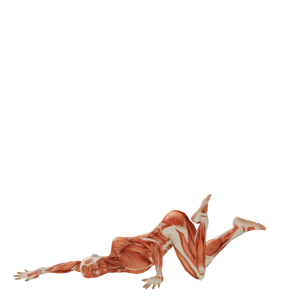 Pose 0000483, Male, Lying, Sexy, Twisting body, Twisting neck ...