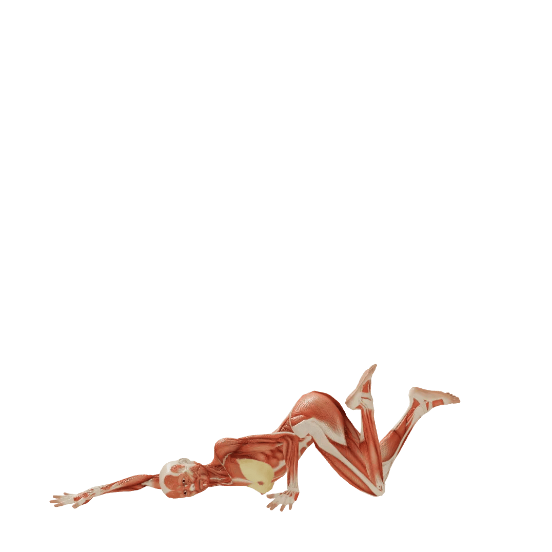 Pose 0000483, Male, Lying, Sexy, Twisting body, Twisting neck ...