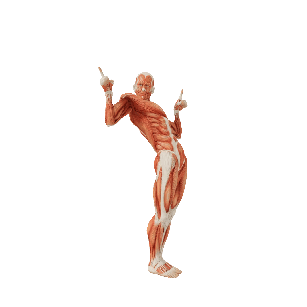 Fool Male poses | POSEMANIACS - Royalty free 3d pose reference for all ...