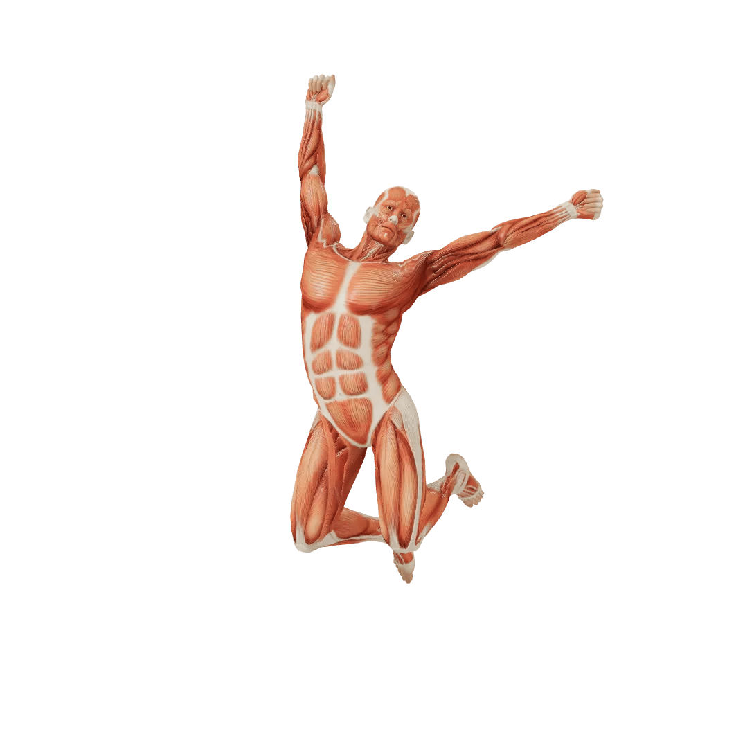 Fool Male poses | POSEMANIACS - Royalty free 3d pose reference for all ...
