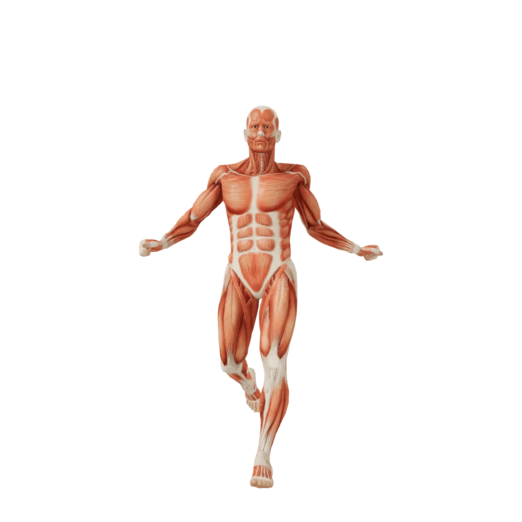 Fool Male poses | POSEMANIACS - Royalty free 3d pose reference for all ...