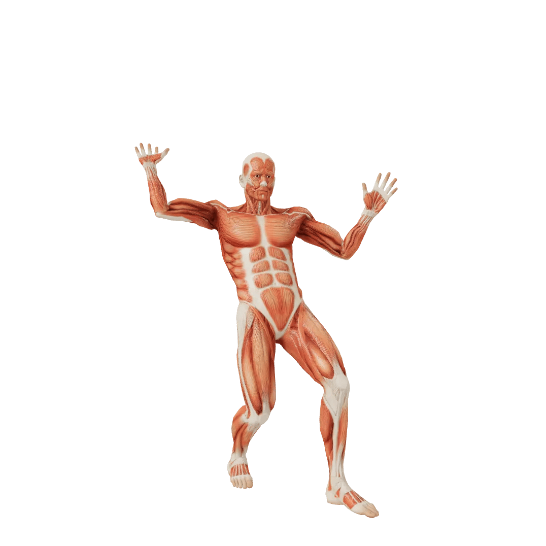 Fool Male poses | POSEMANIACS - Royalty free 3d pose reference for all ...