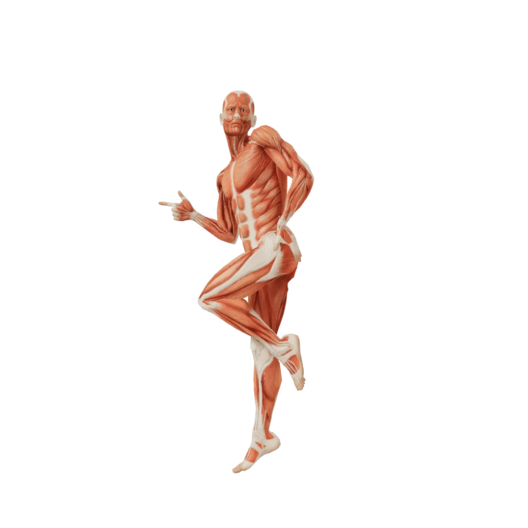 Fool Male poses | POSEMANIACS - Royalty free 3d pose reference for all ...