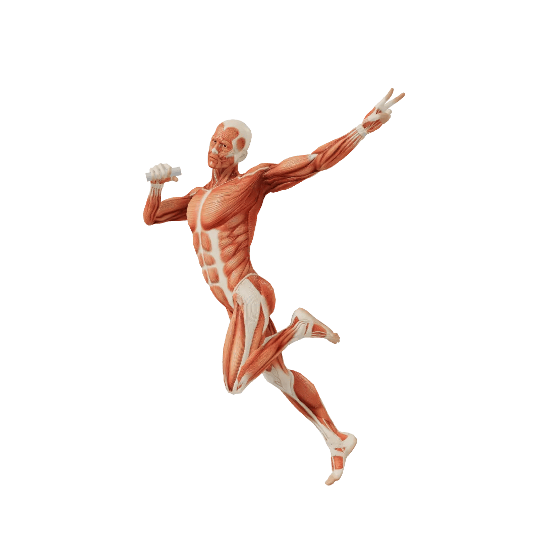 Running Unisex poses | POSEMANIACS - Royalty free 3d pose reference for ...