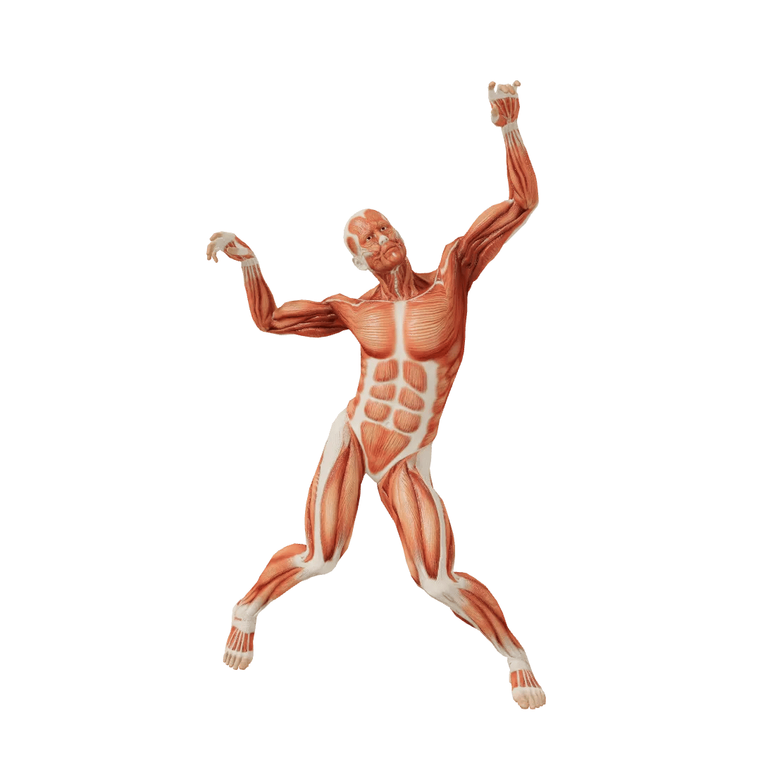 Fool Male poses | POSEMANIACS - Royalty free 3d pose reference for all ...