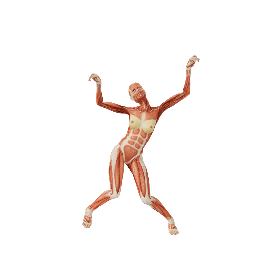 Pose 0000995, Female, Standing, Raising arm, Hanging, Fool ...