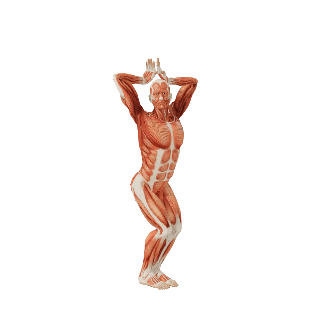 Fool Male poses | POSEMANIACS - Royalty free 3d pose reference for all ...
