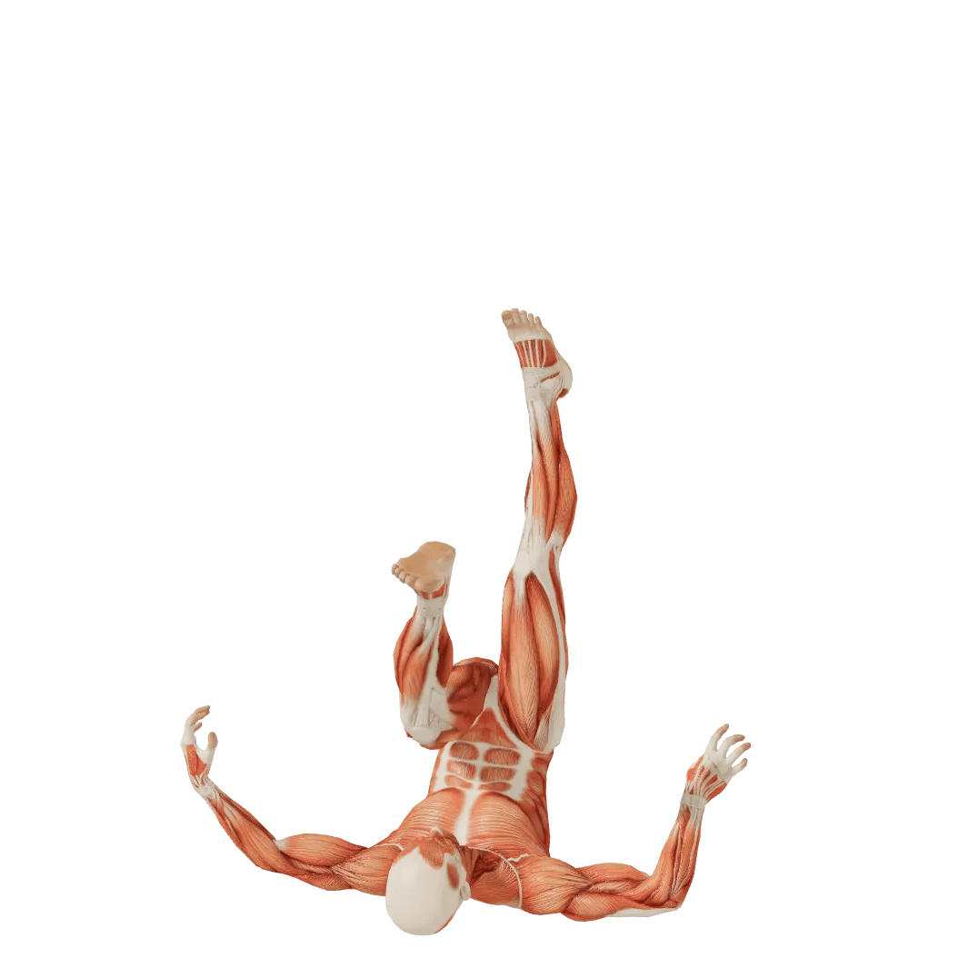 Hand standing Unisex poses | POSEMANIACS - Royalty free 3d pose ...