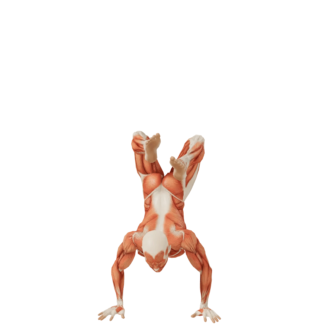 Fool Male poses | POSEMANIACS - Royalty free 3d pose reference for all ...