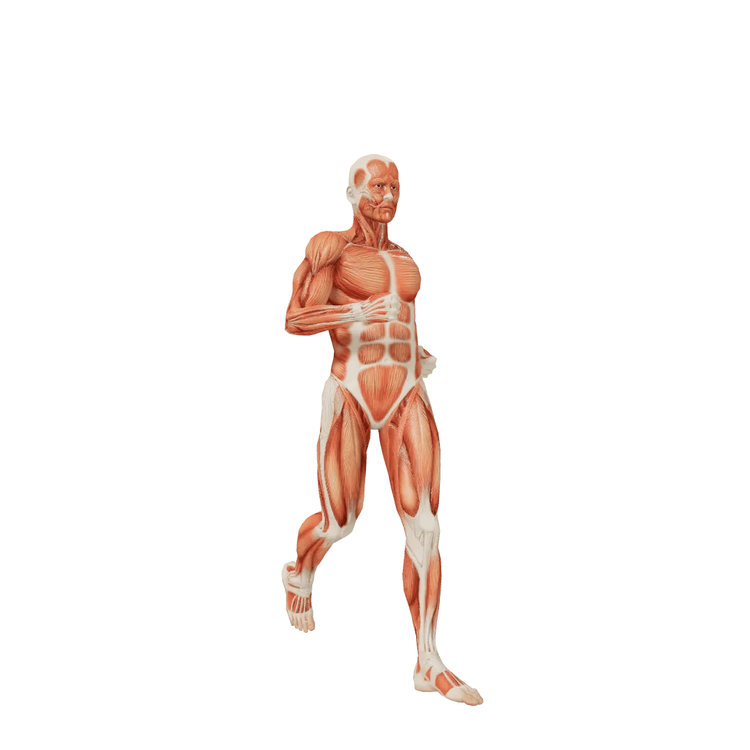 Running Unisex poses | POSEMANIACS - Royalty free 3d pose reference for ...