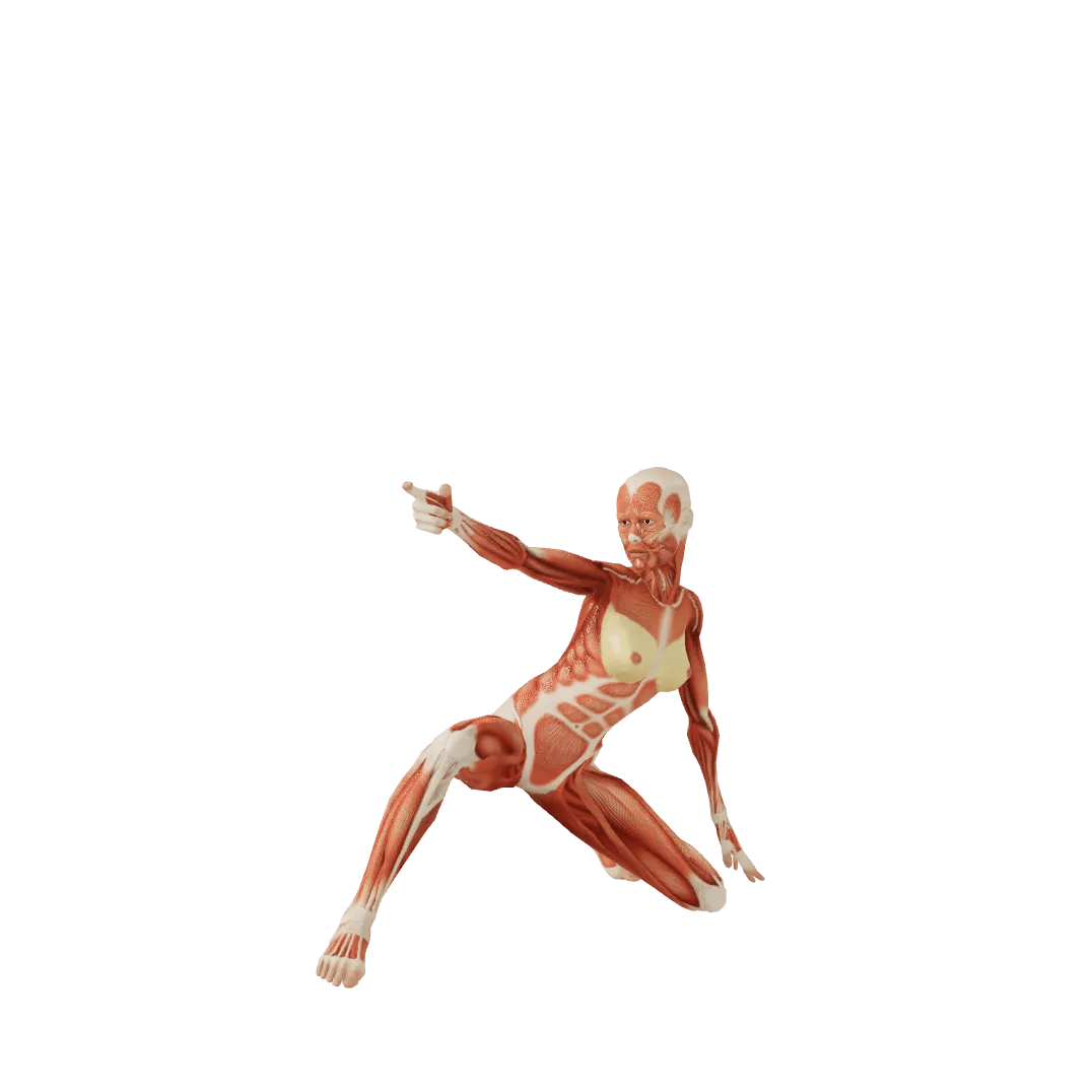 Pose 0000635, Female, Running, Pointing, Twisting body, Raising arm ...