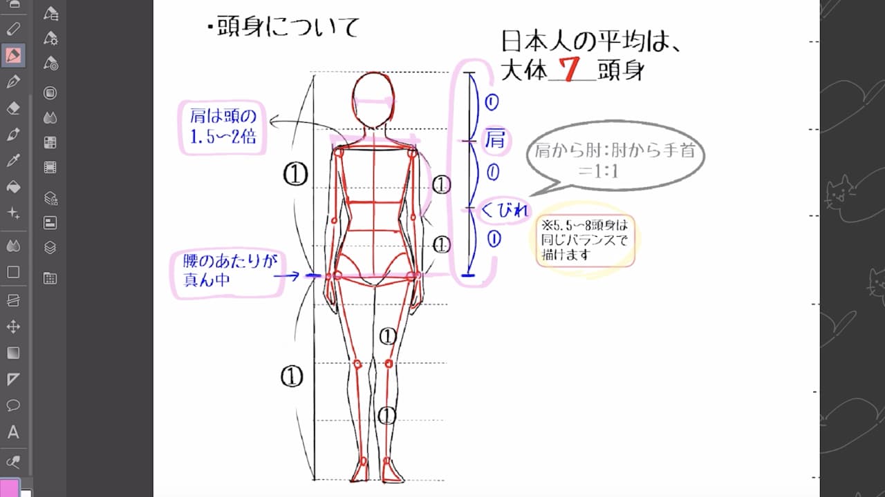 Create an Improvement Cycle! The Complete Guide to Figure Drawing ...
